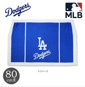 yӍՃGg[őP5{zMLB W[[O bv^I 100 ^I80cm Cオ j v[ S ւ w  wZ 싅