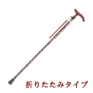 y10SiP2{&50~ItN[|zANeBuO[X܏ W1875 XebL 