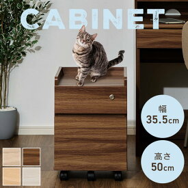 収納家具 デスクキャビネット CABINET キャビネット FJ-029-IR デスク脇 2段引き出し キャスター付 サイドキャビネット ランドセル置き場 シンプル おしゃれ オーク ウォールナット ビーチ 木目ホワイト