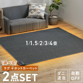 ＼激熱価格！／ホットカーペット 1畳 2畳 1.5畳 3畳 4畳 ラグ セット 省エネ 本体 TEKNOS 電気カーペット コンパクト ホットマット 電気マット 省エネ 正方形 切り忘れ自動OFF ダニ退治機能付 簡単操作 温度調節 コンパクト収納 グレー
