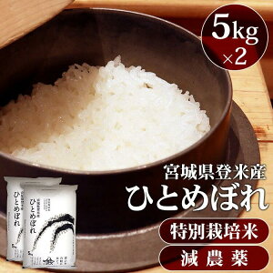  10kg  {錧YЂƂ߂ڂ ʍ͔| _đ   ЂƂ߂ڂ 10kg _ 10L qg{  R ͂  ܂Ƃߔ 5×2܃ZbgyTDzyTRSz