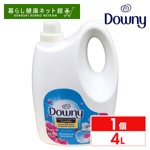 AWA_Ej[ 4L TCYtbV pbP[Wj[A _ _Ej[  downy e Zk^Cv {   {g h[ t A_ t̏_ 