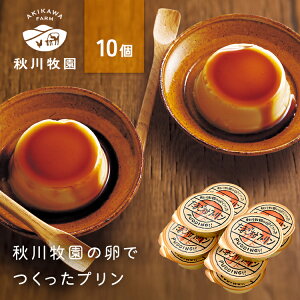 Hq̗ł܂v 10 AKB-004Mtg XC[c Ղ  yTDz yszv