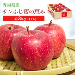 XY Tӂь ̌b ASR-E0SMtg t[c  X Tӂ  yTDz yszv