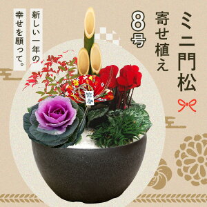 ~j叼񂹐A(|bgd) 񂹐A 叼 |bg  N_l} N_lڈ ܍L ƓS ւʂ yTDz ysz