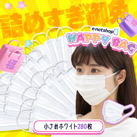 福袋 2026 アイリスオーヤマ 大容量マスク マスク 不織布 プリーツ おしゃれ 耳が痛くならない 不織布マスク 小さめ 280枚 プリーツマスク 風邪対策 ハッピーバッグ *