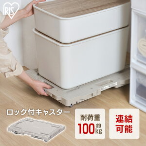 �A�C���X�I�[���} �A������� 54.9×42.1 �A���~�j����� 42.1×28.1 �ω׏d��100kg �L���X�^�[ ���b�N�@�\ ����� �o���h�Œ茊�t �c���A�� RHKS-549 RMH-421 *