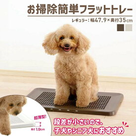 犬 トイレ お手入れ簡単 メッシュ トレー レギュラー お掃除簡単フラットトレー トレー 薄型 パピー シニア お掃除簡単 メッシュ ペット用品 ズレにくい Richell リッチェル ダークブラウン アイボリー【D】
