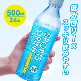 スポーツドリンク 500ml 24本 1ケース 水分補給 ナトリウム補給 低カロリー ペットボトル スポドリ 飲料 飲み物 スポーツ飲料 アイソトニック 運動 スポーツ 部活 屋外 屋内 まとめ買い 箱買い ケース買い LDC *