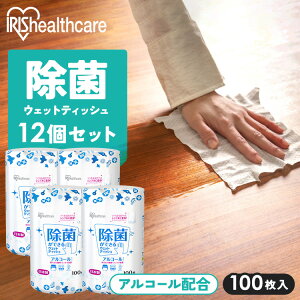 【12個セット】ウェットティッシュ アルコール 本体 WTB-100A 送料無料ウェットティッシュ アルコール エタノール 除菌 除菌シート 日本製 国産 本体 ボトル 容器 ケース 100枚入り 12個 セット