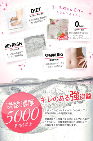 炭酸水強炭酸280ml24本送料無料ローズヒップアロエナチュラルビューティースパークリング24本セット強炭酸水ヒアルロン酸ビタミンC強炭酸高濃度炭酸ソーダsoda【D】あす楽
