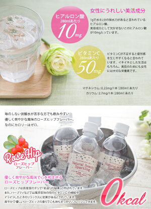 炭酸水強炭酸280ml24本送料無料ローズヒップアロエナチュラルビューティースパークリング24本セット強炭酸水ヒアルロン酸ビタミンC強炭酸高濃度炭酸ソーダsoda【D】