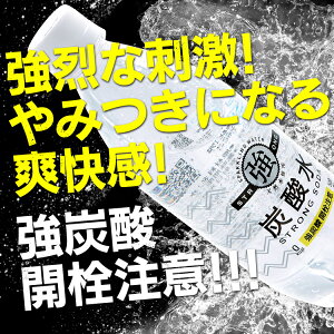 炭酸水強炭酸強炭酸水500ml48本送料無料プレーンレモン炭酸500ml48本炭酸水500ml500ml炭酸水友桝飲料国産セット炭酸含有量ガスVOL4.8強い炭酸【D】【水】あす楽対応