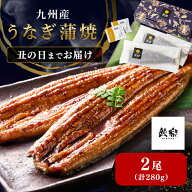うなぎ 2尾 鰻楽 九州産 うなぎ蒲焼 2尾セット 280g 丹念に焼き上げ 独自のたれ 調理方法リーフレット付 …
