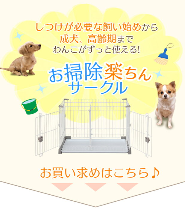 楽天市場 犬 ケージ トイレのしつけが出来る お掃除楽ちんサークル P Ss 906d 屋根なし 屋根あり小型犬 仕切り トイレ別 トレー サークル ハウス ゲージ ペットケージ しつけ 室内 室内用 留守番 シンプル アイリスオーヤマ 暮らし健康ネット館 楽天市場 犬 ケージ トイレのしつけが出来る お掃除楽ちんサークル P Ss 906d 屋根なし 屋根あり小型犬 仕切り トイレ別 トレー サークル ハウス ゲージ ペットケージ しつけ 室内 室内用 留守番 シンプル アイリスオーヤマ 暮らし健康ネット館