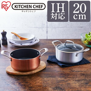  20cm ihΉ  DG-P20 IHΉ _ChOCX Wt KXW Ȃ Vo[ uY KITCHEN _ChR[g Ȃ Lb`VFt   _ChR[eB