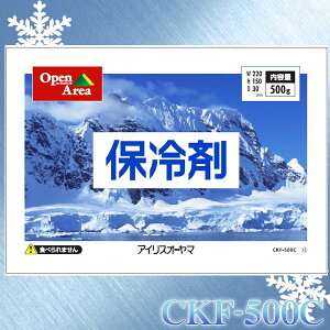 ۗ܃\tg^Cv CKF-500CyACXI[}z