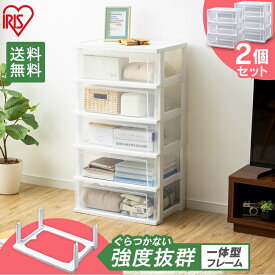 【2個セット】収納ボックス 収納ケース チェスト 5段 幅53 クリアケース プラスチック 引き出し ワイドチェスト NSW-545 おしゃれ 衣類ケース 衣類収納 押入れ収納 収納家具 収納用品 クローゼット 一人暮らし アイリスオーヤマ