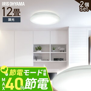 【2個セット】シーリングライト LED 12畳用 LEDシーリングライト 5.0Qシリーズ 12畳 調光 プレーン CEA12D-5.0Q 12畳 調光 丸型 タイマー 節電モード 省エネ リモコン付き 照明器具 天井照明 LEDライト