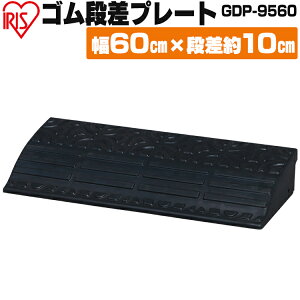 iv[g S Op 10cmi 9.5cmi GDP-9560 ubN ACXI[}