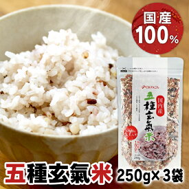 【3袋セット】国内産 五種玄氣米 250g（複数原料米） 送料無料 5種 玄氣米 国内産 玄米 うるち もち ベストアメニティ 【D】【B】 【メール便】