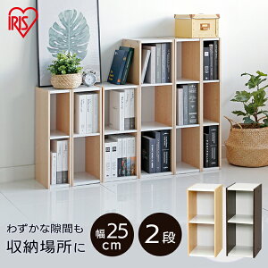 J[{bNX 2i [{bNX ؐ ᕝ25cm×60cm V ؖڒ Xy[XJ[{bNX zCg uE UB-6025 ACXI[} [Ƌ [BOX [pi [P[X ֎[