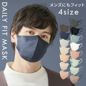 カラーマスク アイリスオーヤマ 不織布 立体 メンズ用 メンズ DAILY FIT MASK メンズ用 立体 5枚入 ホワイトのみ7枚 小さめ ふつう ふつうワイド ゆったり 花粉 ウイルス 飛沫 細菌飛沫 PM2.5 風邪 花粉 幅広耳ひも マスク 個包装【メール便】