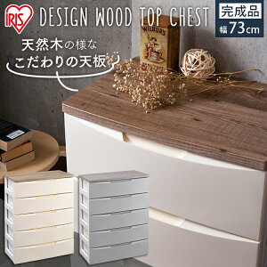 `FXg 5i 73 k [P[X [{bNX [ fUCEbhgbv DW-725 AC{[ O[  ߗގ[ ߗރP[X ^X  o  Ch Ch`FXg