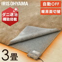 ホットカーペット 3畳 本体 アイリスオーヤマ IHC-30-H 195×235cm 足元用 ホットカーペット ホットマット カーペット 電気カーペット 暖房 電気 暖房器具 冬物家電 季節家電 リビング 寒さ対策 こたつ対応 タイマー付き ダニ対策