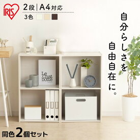 【2個セット】カラーボックス 2段 収納ボックス 収納ケース 収納 A4サイズ 引き出し CX-2F CBボックス アイリスオーヤマ 本棚 漫画 コミック棚 玄関 収納家具 収納BOX 収納用品 キッチン リビング 一人暮らし オフホワイト ナチュラル ブラウン