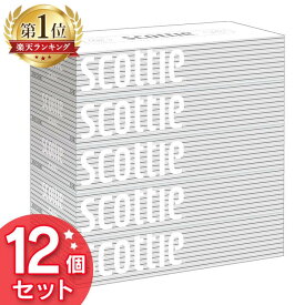 【60個】ティッシュペーパー 400枚 （200組） ボックス ティッシュ ティシュ― ボックスティッシュ スコッティ 5箱 ホワイトパッケージ 送料無料 箱ティッシュ まとめ買い 日本製紙クレシア（株）【D】 【予約】