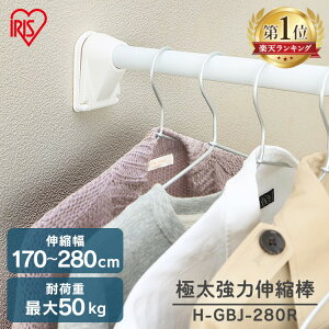 ˂_ ɑ   ˂ [ 󕨊 nK[bN |[nK[ N[[bg ߗގ[ 170`280cm tȒP Hsv ɑ͐Lk_ zCg ACXI[} H-GBJ-