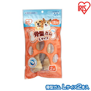  K    獜^K iL2{j P-BG-2L ACXI[}yp hbOt[h K  ̂z