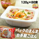 《ポイント5倍★16日9:59迄》米 パックご飯 120g ×80食 大容量 国産米 ご飯パック パックごはん レトルトご飯 パック米 パックライス パック 備蓄 米 ご飯 お米 白米 非常食 防災 仕送り 常温保存可 低温製法米のおいしいごはん アイリスオーヤマ アイリスフーズ