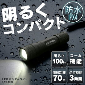 【2個セット】懐中電灯 LED 小型 防水 ハンディライト 100lm ライト 照明 ハンドライト 電灯 アイリスオーヤマ おすすめ 長時間 明るい 手元 避難用品 防災 アイリスオーヤマ