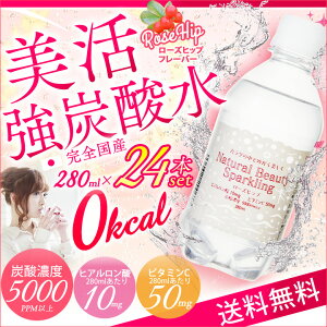 炭酸水強炭酸280ml24本送料無料ローズヒップアロエナチュラルビューティースパークリング24本セット強炭酸水ヒアルロン酸強炭酸高濃度炭酸【D】