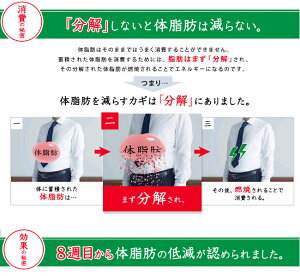 【48本セット】特茶サントリー伊右衛門500ml48本特茶500mlNEWSパック40本+お試し品8本付送料無料お茶飲料お茶特茶500ml48本お試し品付き特定保健用食品ペットボトル飲料ドリンクSUNTORYサントリー【D】