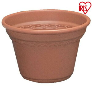  ͂ ReB|bg 20 eRb^uEEEH[x[WyACXI[}z