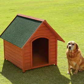 犬小屋 屋外 木製 リッチェル ハウス 大型犬 犬舎 天然木の快適ハウス中～大型犬 おしゃれ 木目 しつけ 留守番 シンプル アイリスオーヤマ