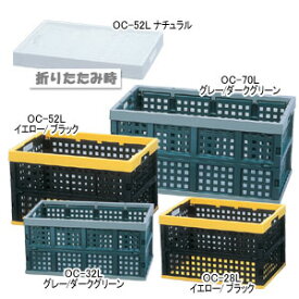 コンテナ 折りたたみ 収納ボックス 32L おりたたみOC-【アイリスオーヤマ】（収納BOX・・収納用品・収納ケース プラスチック） 新生活