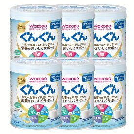 【6個セット】粉ミルク ぐんぐん 300g 和光堂 和光堂フォローアップミルク 送料無料 和光堂 赤ちゃん ベビー フォローアップ 9か月 鉄 カルシウム DHA DHA 【D】