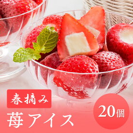 春摘み苺アイス アイス アイスクリーム 苺 いちご 20個 AH-HAA 送料無料 苺アイス アイスクリーム いちご 練乳アイス かわいい スイーツ プレゼント ギフト デザート お祝い 洋菓子 ギフト 母の日 ははの日 父の日 お中元 御中元 【TD】【代引不可】