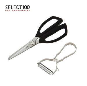 s[[ ނ L Lb`piysEwszyz ZNg100 Lb`΂DH3005  T^DH3000 select100 XeX ނ  Jj pbNHށyDz3y