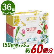 【3箱で約5箱分！】ティッシュ スコッティ 250組×36箱 備蓄 フラワーボックス 大容量 長持ち ティシュ—…