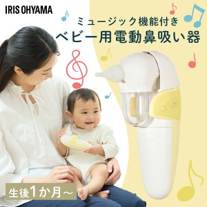 yPi/drtz@z ACXI[} xr[pi xr[pd@z nfB^Cv CG[ NS-12YE / P3dr×4{pbN LR6Bb d drt h RpNg fBt o