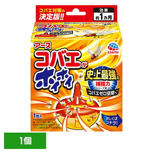 PApi ΂ ߊl A[X RoGzCzC oG [ 쏜 Lb` 䏊 [[ A[X