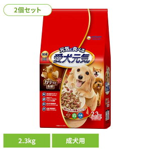 y2ZbgzhbOt[h C  C p r[tEΉF؁E 2.3kg