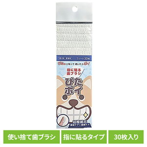 f^PA oPA p  IN`uV ҂|C f^PA oPA L C Lp  ĝ uV v[N |Pbg P[s[GX