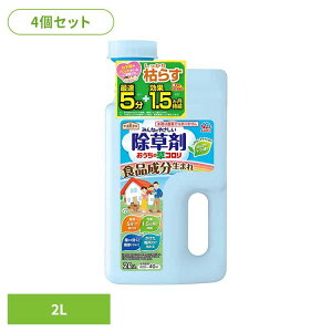  A[X K[fpi ̑R 2L×4Zbg A[XK[f EARTH [₭  Hi L͈ V[ n[u̍  RP y2512Sz