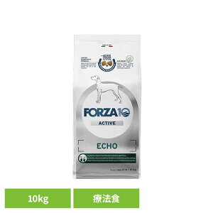 Forza10 GR[ANeBu ~fBA 10kg Ö@H i`  AM[  }Z`A O     yBz